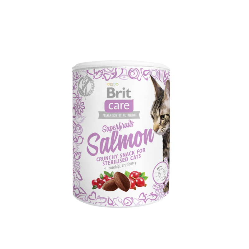 BRIT CARE CAT SNACK SUPERFRUITS SALMON 100 G