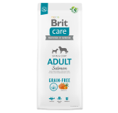 BRIT CARE DOG GRAIN-FREE ADULTO SALMON 1KG - 3KG - 12 KG